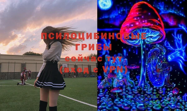 бошки Армянск