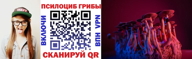 Галлюциногенные грибы Cubensis  Купить где  Звенигород 