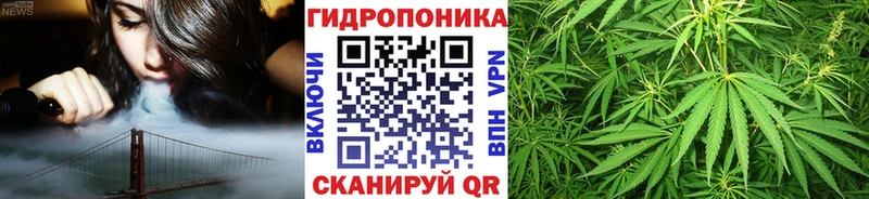 Купить закладки Звенигород Каннабис конопля